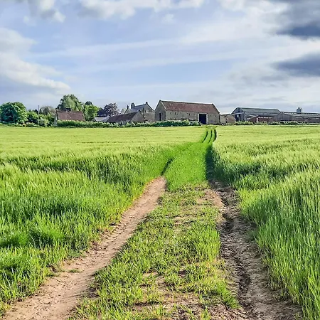 Moorhouse Farm *