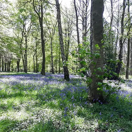 Moorhouse Farm Casa vacanze